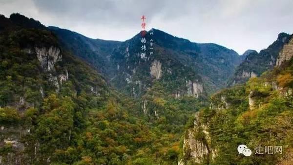 逃离昏暗下的小村